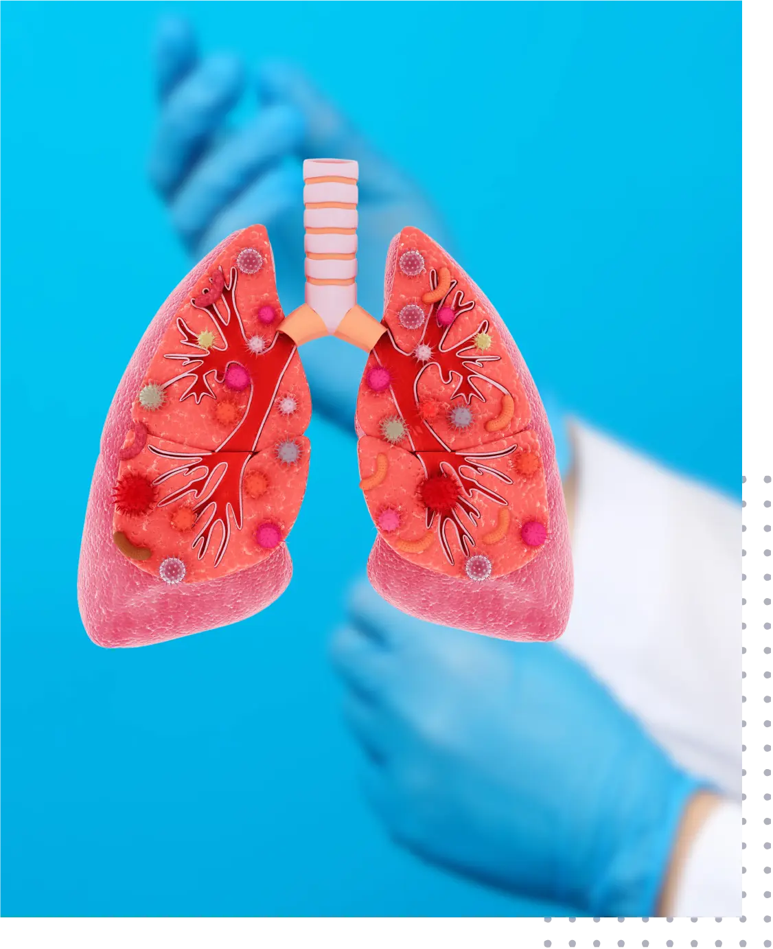 Expert Level Orthopedics Billing and Coding Covering Entire Orthopedic Spectrum